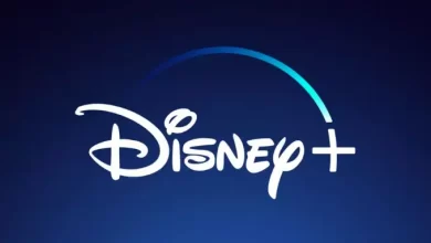 The Top 5 Hidden Gem TV Shows to Stream on Disney
