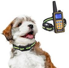 Electric Dog Training Collar